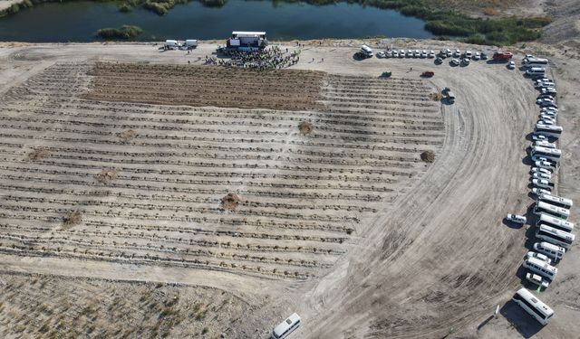 Muğla'da Hüsamlar Yeniden Projesi ile 511 hektarlık eski maden sahası doğaya kazandırılıyor