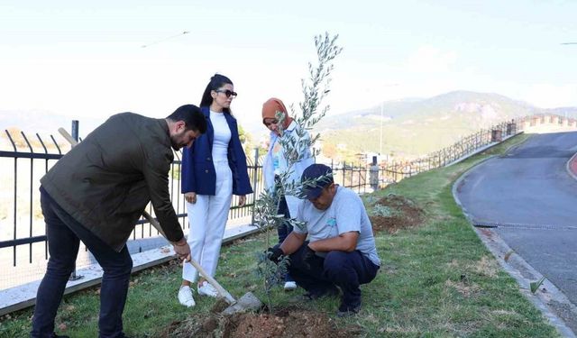 ALKÜ’de zeytin ağacı dikimi yapıldı