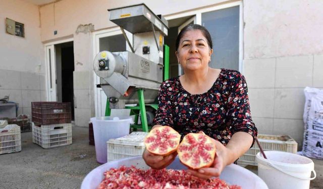 Büyükşehir Belediyesinden üreticiye ’Nar Taneleme Makinesi’ desteği