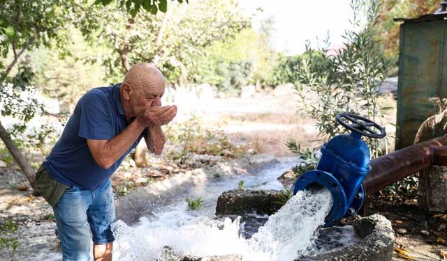 Büyükşehir’den Demreli üreticilere destek