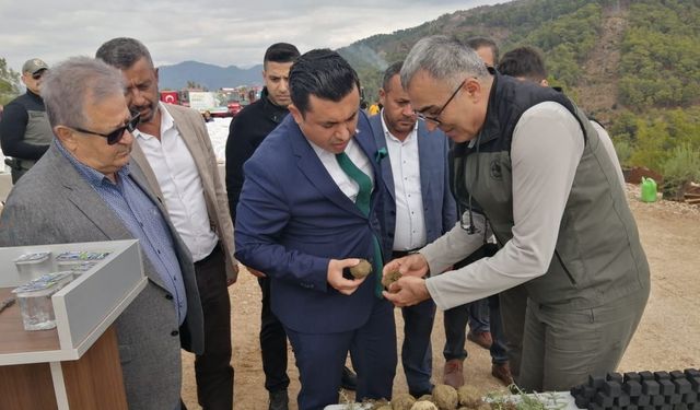 Milli Ağaçlandırma Günü’nde karbon zengini tohumlar toprakla buluşturuldu