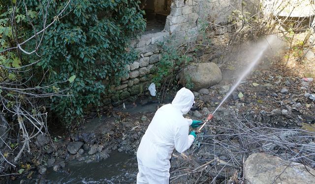 Büyükşehir, Ilıca’da Geniş Kapsamlı İlaçlama Çalışması Başlattı