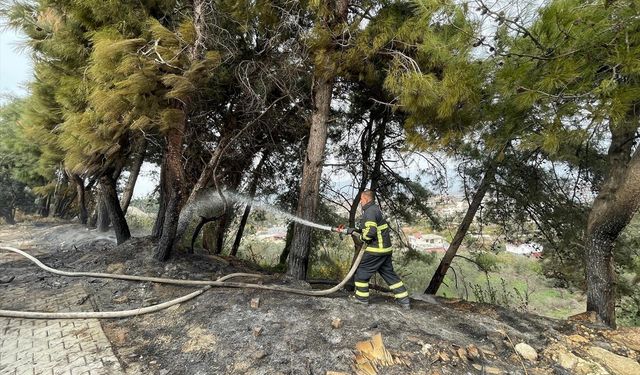 Hatay'da çamlıkta çıkan yangın söndürüldü