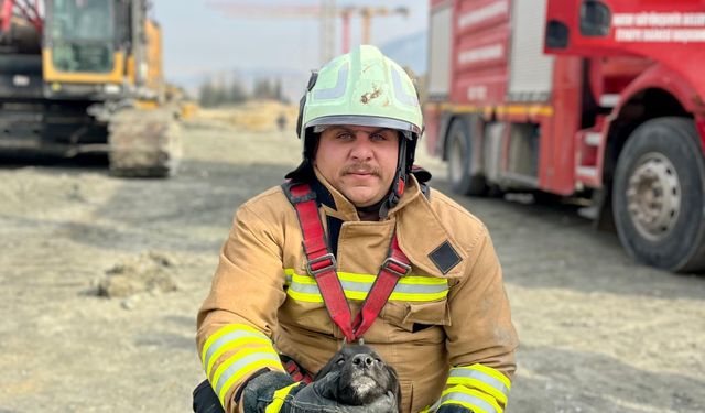 Hatay'da fore kazık temeline düşen köpek yavrusunu itfaiye kurtardı