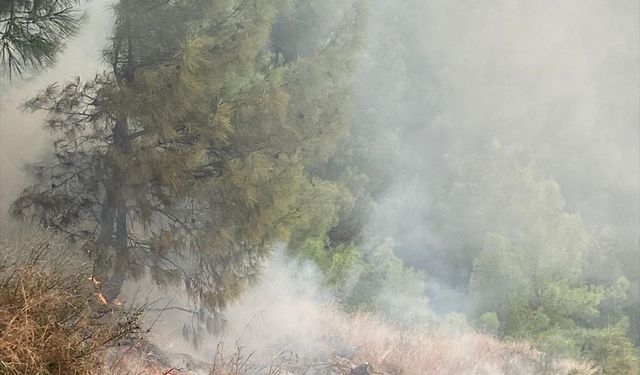 Hatay'da ormanlık alanda çıkan yangın söndürüldü