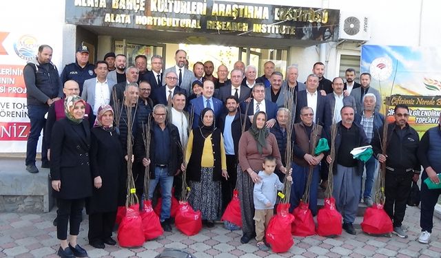 Mersin'de çiftçilere 1800 kestane fidanı dağıtıldı