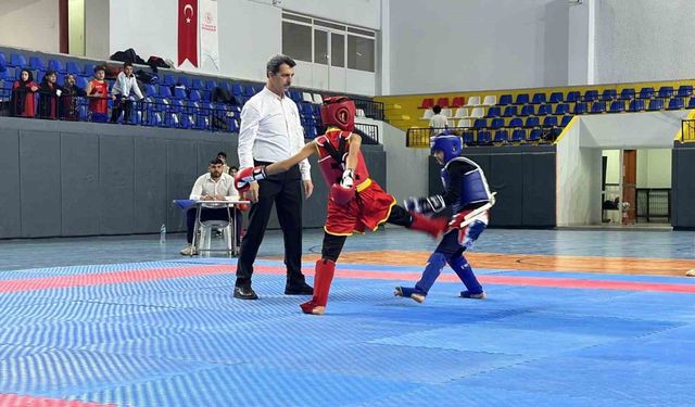 İskenderun’da ’Sarıkamış Şehitlerini Anma Wushu Turnuvası’ düzenlendi