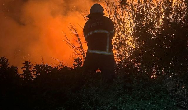 Hatay'da kamışlık alanda çıkan yangın söndürüldü