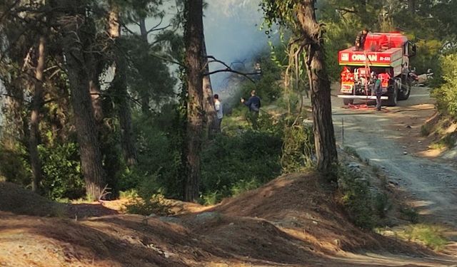 Hatay’da ormanlık alanda örtü yangını çıktı