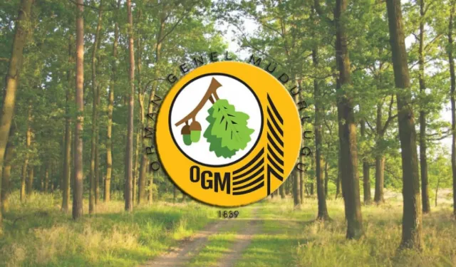 Ormancılık Çalışmalarının Takibi ve Kontrolü Hizmeti Alınacaktır