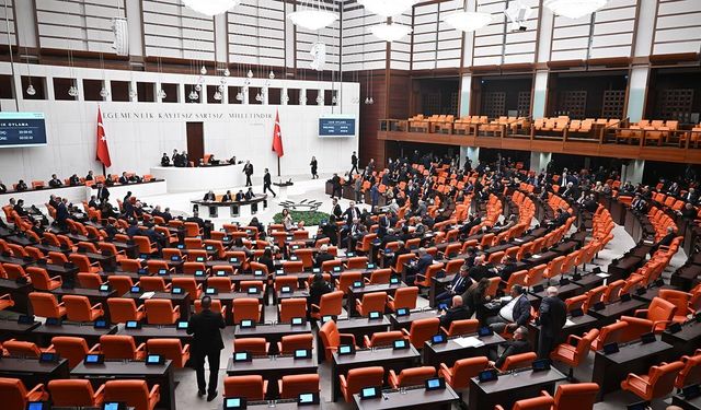 Çerçeve yasa (çerçeve kanun) nedir?