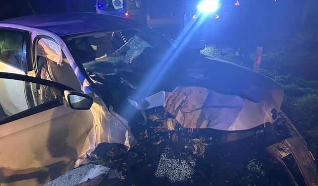 Isparta'da ağaca çarpan otomobildeki 1 kişi öldü, 2 kişi yaralandı