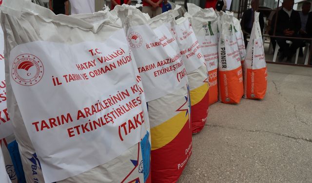 Hatay'da depremzede üreticilere tohum ve zeytin hasat makinesi desteği
