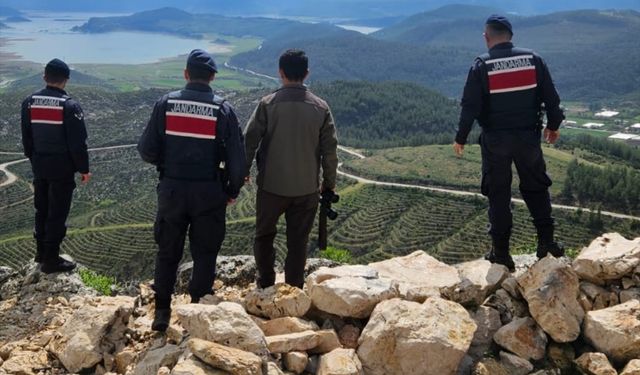 Isparta'da yaban keçisi avlayan 1 kişiye 671 bin 355 lira ceza kesildi