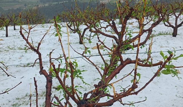 Mersin'de dolu etkili oldu