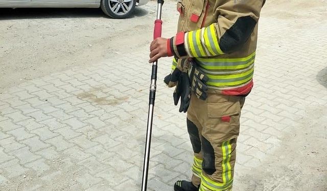 Eve giren yılanı itfaiye yakaladı