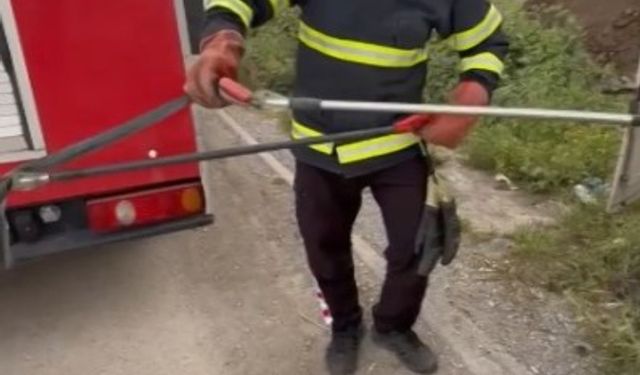 Osmaniye’de elektrik panosuna giren yılanı itfaiye çıkardı