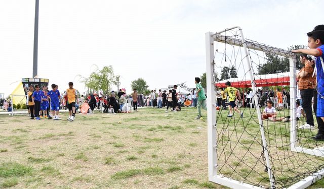 Osmaniye’de uçurtmalar semaları süsledi
