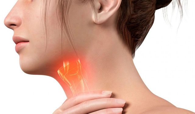 Ses Teli Sağlığı İçin 11 Öneri
