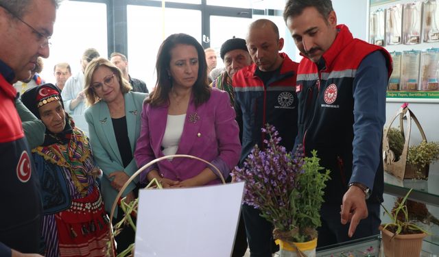 Burdur'da düzenlenen DoğaFest'te, gül hasadı ve "Doğa Okulu" etkinlikleri yapıldı
