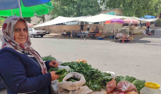 5 çocuk annesi, asma yaprağı satarak aile ekonomisine destek oluyor