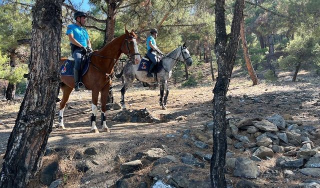 Burdur’da 1 Haziran - 1 Kasım tarihleri arasında ormanlık alanlara girişler yasaklandı