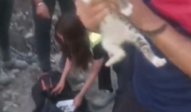 Osmaniye’de inşaat alanında bulunan kuyuya düşen yavru kedi kurtarıldı
