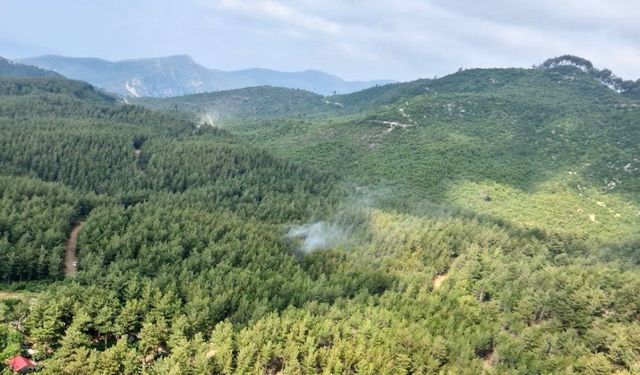 Osmaniye’de ormanlık alanlara girişler yasaklandı