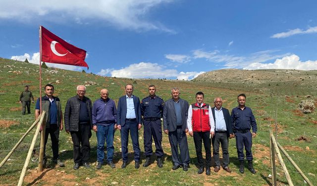 "Söğütdere Bal Ormanları" Projesi İle 3.957 Fidan Toprakla Buluşacak