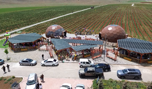Afşin’de Lavanta Cafe Hizmete Açıldı