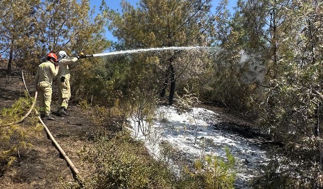 Adana'da orman yangını çıktı
