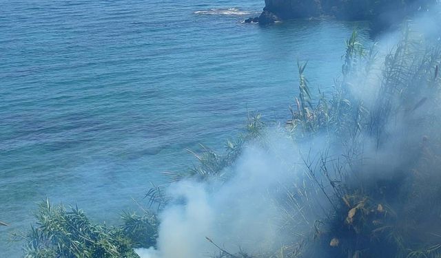 Alanya'da çalılık alanda çıkan yangın itfaiye ekiplerince söndürüldü