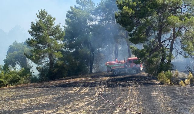 Antalya'da ormanlık alanda çıkan yangın kontrol altına alındı