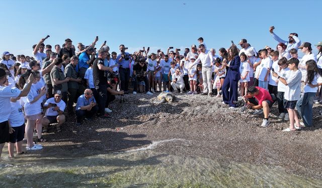 Antalya'da uydu izleme cihazı takılan "Flora" ve "Fauna" adlı caretta carettalar denize bırakıldı