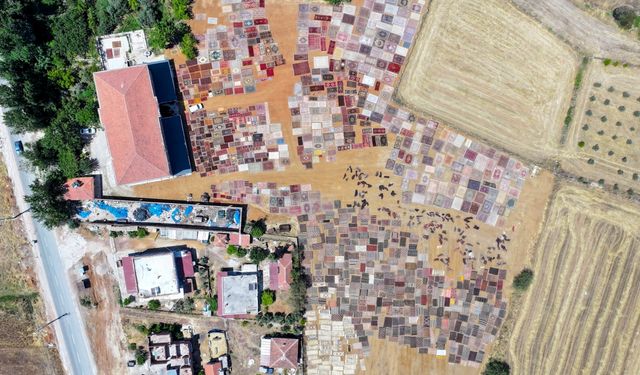 Antalya'nın "halı tarlaları"na el dokuması halı ve kilimler serilmeye başlandı