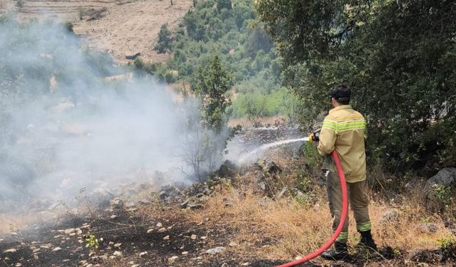 Antalya'da makilik alanda çıkan yangın kontrol altına alındı