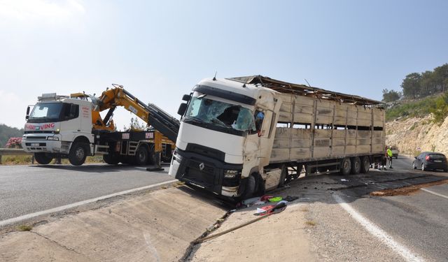 Mersin'de devrilen tırdaki büyükbaşlardan 1'i telef oldu, 4'ü yaralandı
