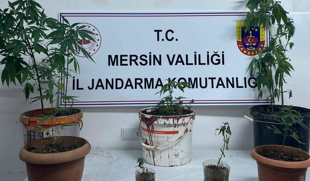 Mersin'de uyuşturucu operasyonunda yakalanan 4 zanlıdan 1'i tutuklandı