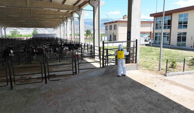 Kahramanmaraş Hayvan Borsası hazır