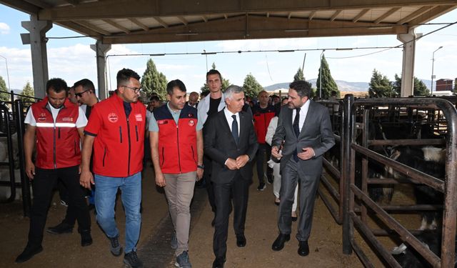 Vali Ünlüer, Kurban Bayramı Öncesi Canlı Hayvan Borsasını Ziyaret Etti