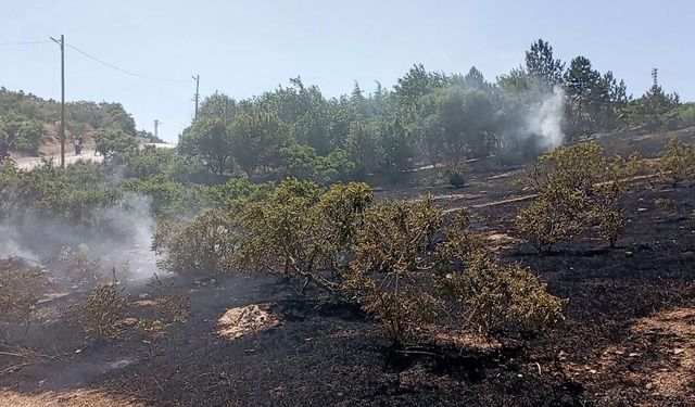 Afşin İlçe Tarım Müdürlüğü’nden Çiftçilere Anız Yakma Uyarısı