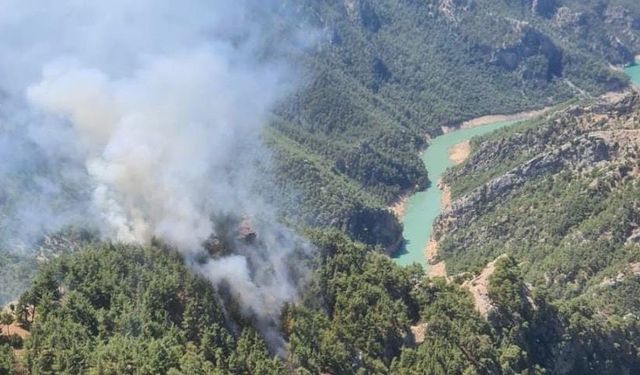 Adana'da ormanlık alanda yangın çıktı