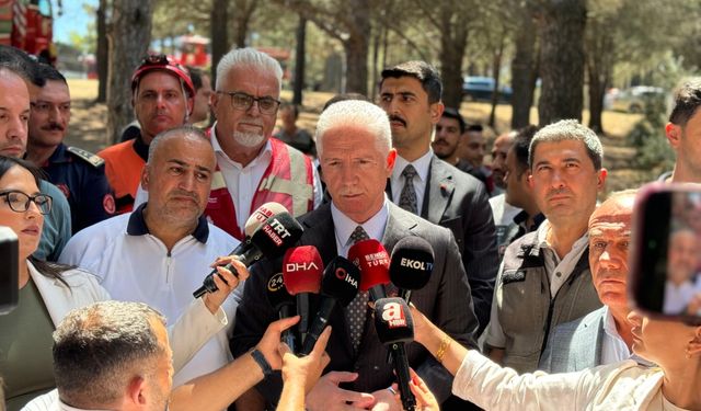 GÜNCELLEME- Sultangazi'de ormanlık alanda çıkan yangın kontrol altına alındı
