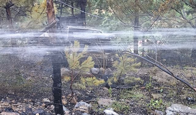 Isparta'da alev alan otomobilin sürücüsü yaralandı