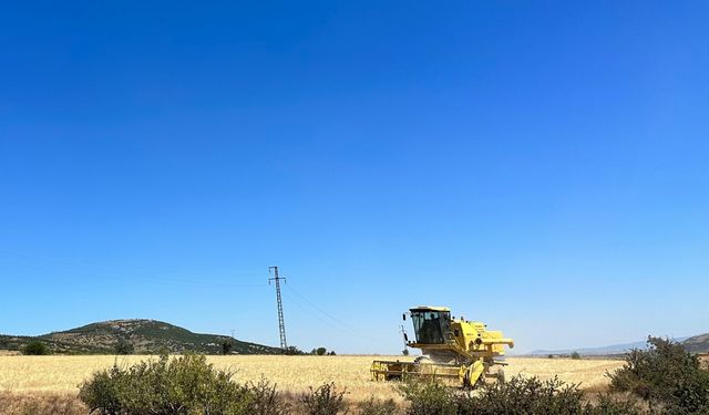 Isparta'da hububat hasadı başladı