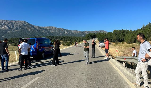 Isparta'da otomobilin çarptığı inek telef oldu