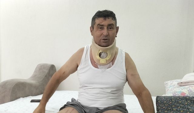 Manavgatlı çiftçi, kendisini yaralayan aslanın öldürülmesinin üzüntüsünü yaşıyor