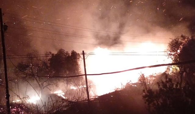 Mersin'de ağaçlık alanda çıkan yangın kontrol altına alındı