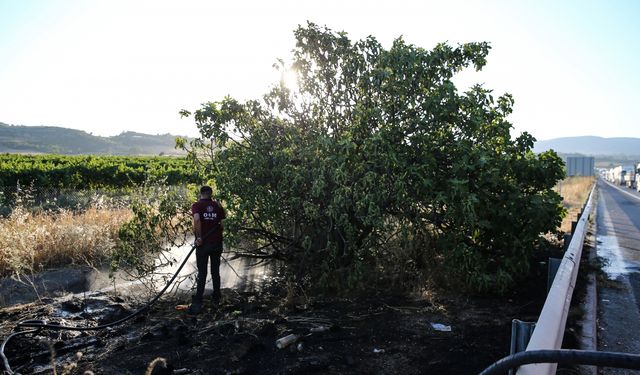 Mersin'de alev alan süt tankerinden çalılık alana sıçrayan yangın söndürüldü