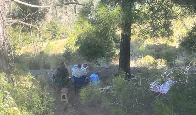 Mersin’de ormanda piknik yapan 4 kişiye para cezası kesildi